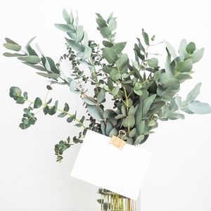 Meet your Posher, Leah